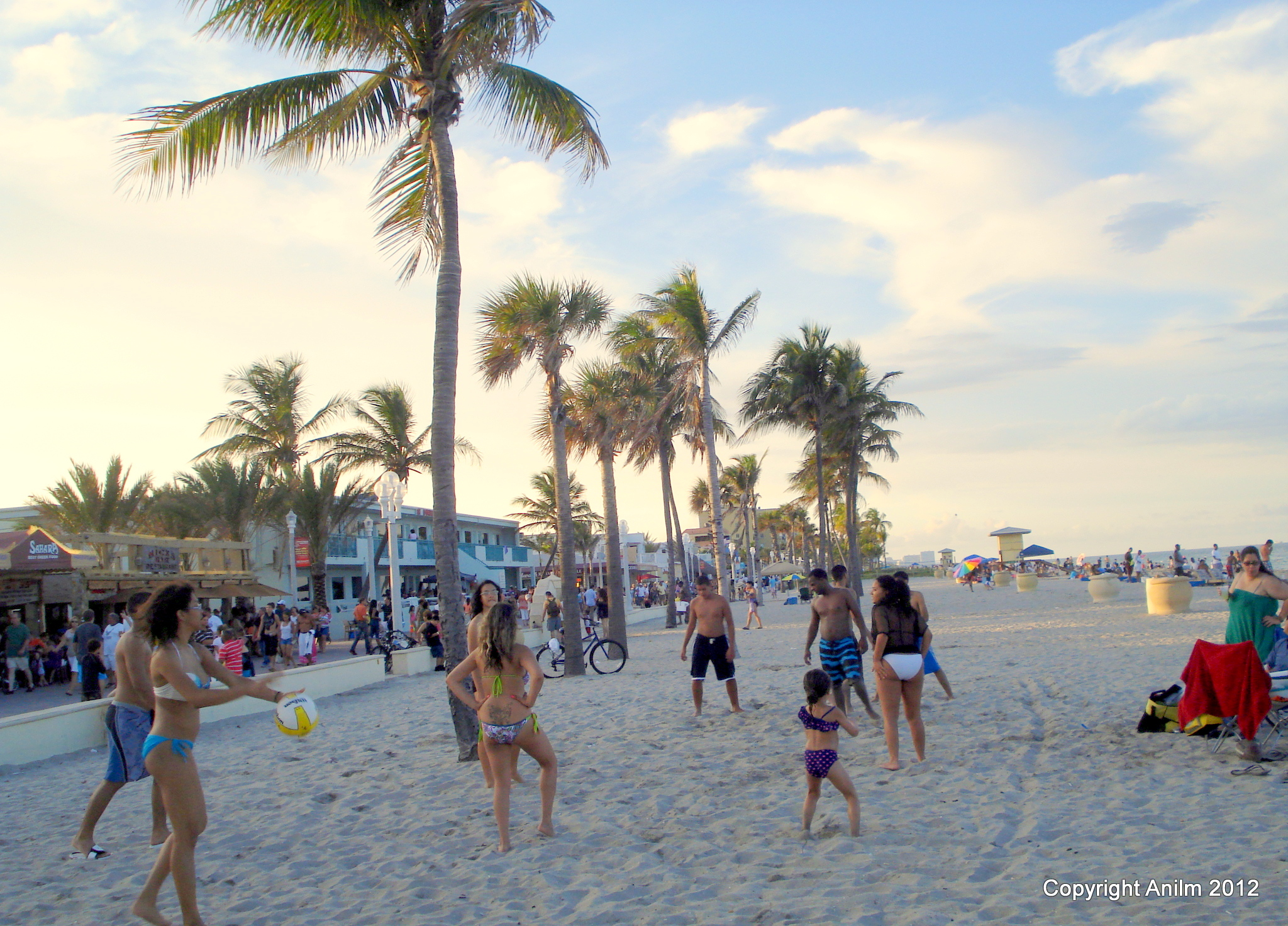 Public Adjuster Hollywood Fl 1 For Insurance Claims
